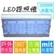 LED探照燈系列 (台灣製) 50W↗防水↗冰白光(＞12000K) 【＊投射燈 工作燈 洗牆燈 投光燈 照明燈 廣告燈】