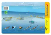 Jupiter Wreck Trek & Esso Bonaire Wreck Florida Reef Smart Waterproof Dive Card