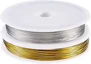Craftdady 2 Rolls 0.38 mm Tiger Tail Wire for Jewelry Making Stainless Steel Bead Stringing Wire Metal Craft Wire for Necklace Earring Bracelet Making