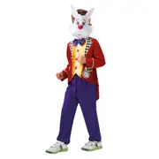 Disney Alice in Wonderland White Rabbit Child Costume Size M 5-6 Years
