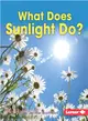 What Does Sunlight Do?