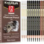 Professional Colored Charcoal Pencils Drawing Set,12 Pieces Pastel Chalk Pencils