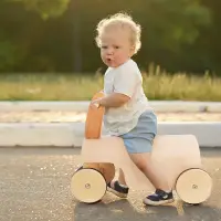 在飛比找蝦皮商城精選優惠-🌈兒童木製木質四輪助力學步車平衡車寶寶扭扭車彎板車早教益智玩