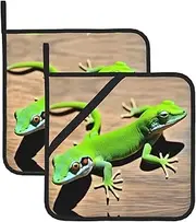 Geckos Potholders BBQ Pot Holders for Heat Resistant Potholder, Hot Pads,Cooking Baking(2-Pack)