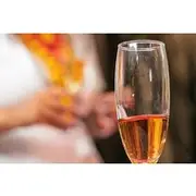 Save 20.01%! Sip and Learn Tequila Tasting in Mexico