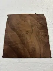 Walnut burl wood veneer 5” x 5” raw no backer 1/42" thickness thin with sapwood