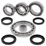 New ALL BALLS Rear Differential Bearing & Seal Kit For SUZUKI 25-2064