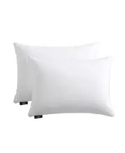 Serta HeiQ Cooling 240TC Softy-Around Feather & Down 2-Pack King Pillow