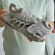 7LB Natural Hsiuyen Jade Quartz Skull Scorpion Crystal Angel skull Reiki Healing