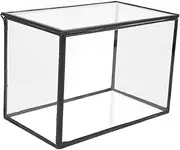 CAXUSD Micro Landscape Greenhouse Micro Landscape Holder Table Adornment Empty Terrarium Landscape Container Tiny Terrarium Landscape Display Holder Terrarium Plants Glass Transparent