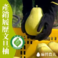 在飛比找Yahoo奇摩購物中心優惠-【麻營農夫】麻豆文旦柚禮盒6台斤x2(產銷履歷)