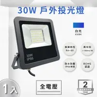 在飛比找momo購物網優惠-【E極亮】LED 30W 戶外投射燈 防水投光燈 IP66 