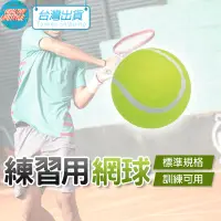 在飛比找蝦皮購物優惠-網球 一般網球 硬式網球 特波士 練習球 練習用球 訓練用 
