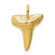 14k Yellow Gold Shark Tooth Pendant