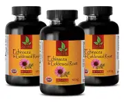 Echinacea & GoldenSeal Root 300mg - Immune System Support - 300 Capsules 3 Bot