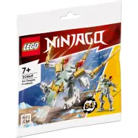 在飛比找蝦皮購物優惠-樂高LEGO 30649 冰龍 忍者 袋裝