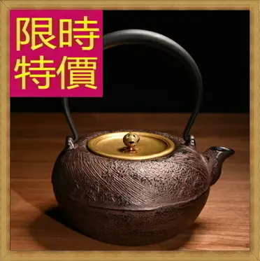 鐵壺 鐵器 茶具 茶壺 福介商店｜【鳳文堂】龍鐵壺0.8L