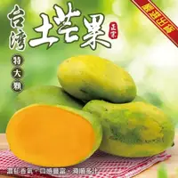 在飛比找ETMall東森購物網優惠-果物樂園-台灣大顆土芒果(約3斤/箱)