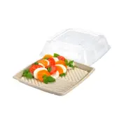 100x Disposable Platter w Lid Square 10"/26cm Compostable Grazing Box Catering
