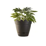 Northcote Pottery Leonard 38x34cm Self Watering Plant Pot Garden Decor Black