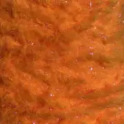 Semperfli Eggstatic Egg Fritz Chenille 8mm Fluoro Steelhead Orange