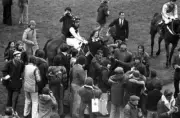 Lucius 1978 Grand National Win 3 Horse Racing Old Photo