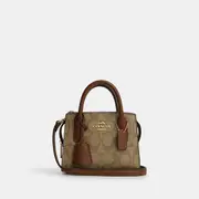 Andrea Mini Carryall In Signature Canvas