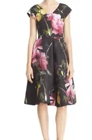 Ted Baker CITRUS BLOOM' PRINT V-NECK FIT & FLARE DRESS IN BLACK USA 6 UK 2
