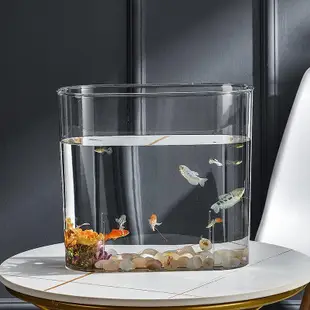 仿玻璃亞克力塑料魚缸透明魚缸一體成型防摔魚缸插花水缸生態缸
