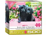 Large Pieces Family Puzzle: Black Labs In Pink Box, 500 Piece - EuroGraphics