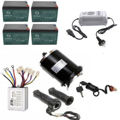 1000W 48V Brush Electric Motor Controller KIT FOR ATV bike Scotoer Go kart Buggy