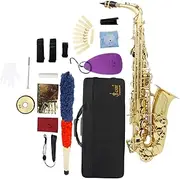 Dickly E Flat Alto Saxophone with Carrying Case, and Cleaning Cloth, Alto Saxophone Full Kit Woodwind Instrument for Show Stage, gold