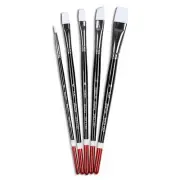 Paint Brush Set Round Flat Angular Artist Acrylic Paint Brush Set Shoe 5pcs