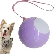 Sticky Reusable Lint Roller - Sticky Lint Remover for Clothes,Reusable Strong Adhesion Pet Hair Removal Tool Washable for Home Car Interior Sofa Sock Sweater