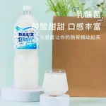 台灣出貨✨日本進口CALPIS可爾必思乳酸菌風味碳酸飲料蘇打汽水含乳1.5L年貨 萌貨星星