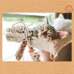 【33明信片本舖】羅馬尼亞進口明信片 - KEEP CALM AND SLEEP LAKE A CAT 保持冷靜