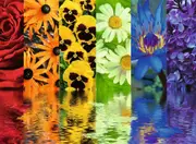 Ravensburger - Floral Reflections Puzzle 500pc