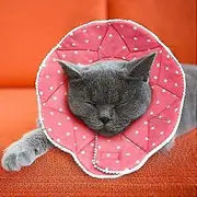 Waterproof Post-Surgery Recovery Collar for Cats and Dogs - Comfortable and Adjustable