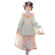 Girl Hanfu Dress Embroidered Floral Tang Suit Chinese Traditional Princess Sweet