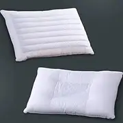 Pillow Bedding Household Pillow Single Pillow Adult Pillow Buckwheat Shell/Cassia Pillow (Color : White, Size : Buckwheat Shell Pillow)
