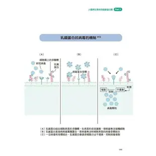 疫起看見乳鐵蛋白的健康效應：權威揭密！守護一生的神奇蛋白質