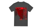 Dexter Unisex Adult Normal T-Shirt (Charcoal) - UTTV15335