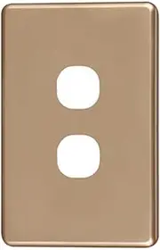 4C | Classic 2 Gang Switch Polycarbonate Cover Plate - Gold Colour