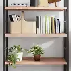 NNEVL Wall Shelf Light Brown 100x50x(2-4) cm Treated Solid Wood Oak