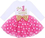 IMEKIS Baby Girls 1st 2nd Birthday Outfit Mouse Ladybug Dress Polka Dots Tutu Skirt ONE Cake Smash Costume for Photo Shoot