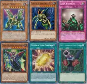 Weevil Complete Deck - Perfectly Great Moth - Cocoon of Ultra Evolution - Yugioh
