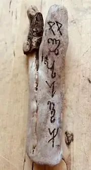 Drift Wood Unique Enchanted Santa Cruz, CA Hand Crafted Burnt Art Wealth Viking