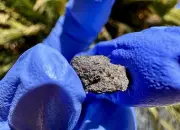meteorite: Hassi Messaud 001: Weight: 0.487 Grams