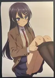 Mai Sakurajima Rascal Does Not Dream Anime Glossy Poster 16x11 Waifu Doujin v2