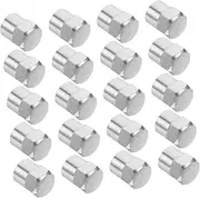 Amosfun 20Pcs Stainless Steel Tire Valve Stem Caps Fit Air Caps for Cars Trucks and Bicycles Easy Installation Added Protection Against Debris Durable Valve
